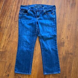 **American Eagle Outfitters Artist Crop Jeans size 14